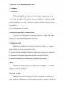 Informe estudio de mercado