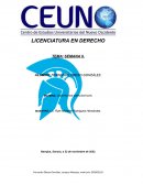 Procedimiento demanda mercantil