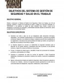 OBJETIVOS DEL SISTEMA DE GESTIÓN DE SEGURIDAD Y SALUD EN EL TRABAJO