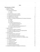 Plan Informático Cofide