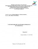 TRABAJO IV CUESTIONARIO DE LOS PUEBLOS INDIGENAS
