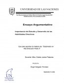 ENSAYO HABILIDADES DIRECTIVAS