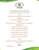 PESAS APLICADAS A LA ACTIVIDAD FÍSICA Y EL DEPORTE