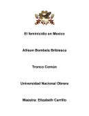 El feminicidio en Mexico