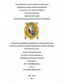 CUIDADOS DE ENFERMERÍA EN SÍNDROME DE DISTRÉS RESPIRATORIA AGUDA EN LA UNIDAD DE CUIDADOS INTENSIVOS DEL HOSPITAL REGIONAL DE AYACUCHO DEL 2020