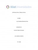 INTRODUCCIÓN AL TRABAJO SOCIAL