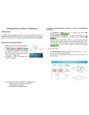 Metabolismo de Purinas y Pirimidinas - Resumen del libro de Bioquímica de Harper