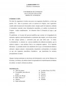 LABORATORIO Nº 9 Glicólisis y fermentación