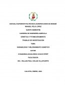 VARIABILIDAD Y MEJORAMIENTO GENÉTICO