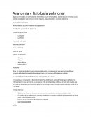 Anatomía y fisiología pulmonar