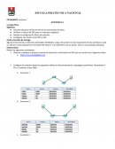 Actividad La capa física