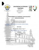 Síntesis De animales a dioses. Parte I