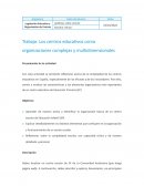 Los centros educativos como organizaciones complejas y multidimensionales