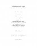 Fase 2 Fundamentación Inteligencia De Negocios