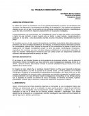 El Trabajo Monográfico