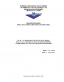 USO DE LAS HERRAMIENTAS TECNOLOGICAS EN LA ENSEÑANZA-APRENDIZAJE POR PARTE DEL DOCENTE UNIVERSITARIO DEL ÁREA DE AGRONOMÍA EN LA UNERG