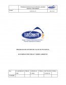 PROGRAMA DE GESTIÓN DE SALUD OCUPACIONAL