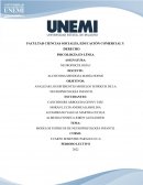 ANALIZAR LOS DIFERENTES MODELOS TEÓRICOS DE LA NEUROPSICOLOGÍA INFANTIL