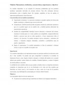 Modelos Matemáticos: definición, características, importancia y objetivos