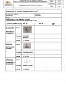 PROCEDIMIENTO DE TRABAJO SEGURO PODA DE ÁRBOL SECTOR SURORIENTE GRUPO NORTE