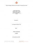 Fijación Estrategia y Elaboración del Pronóstico y Presupuesto de Ventas