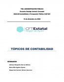 Topicos de contabilidad