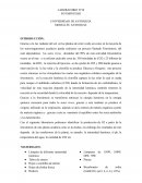 Laboratorio fotosíntesis