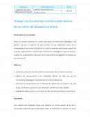 Los documentos institucionales básicos de un centro de educación primaria