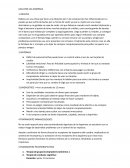 LOCA POR LAS COMPRAS