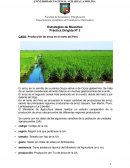 CASO: Producción de arroz en el norte del Perú