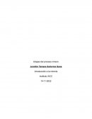 Etapas del proceso minero