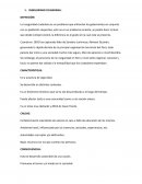 Inseguridad Ciudadana