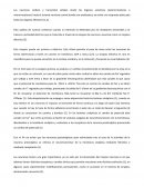 Transmisión del impulso nervioso