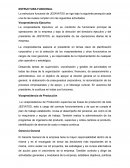 ESTRUCTURA FUNCIONAL. JESAYATOS