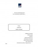 LIDERAZGO DANIEL GOLEMAN