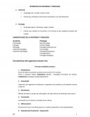 DEFINICION DE ANATOMIA Y FISIOLOGIA