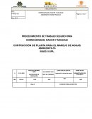 PROCEDIMIENTO DE TRABAJO SEGURO PARA HORMIGONADO