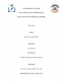 Impuestos A Los Consumos Especiales (ICE)