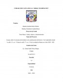 Causas sobre el consumo del alcohol en los adolescentes