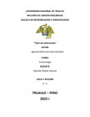 Tipos de anticuerpos