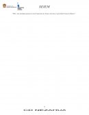 Estructura encuesta semiestructurada