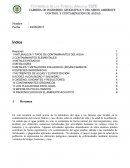 NATURALEZA Y TIPOS DE CONTAMINANTES DEL AGUA