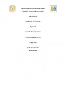 Reporte de “Una chica secuestrada por el Estado Islámico, testifica el infierno que vivió”