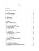 Evaluacion de procesos para la elaboracion de bolsas plasticas a partir de desechos naturales