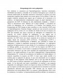 Fisiopatologia del ovario poliquistico