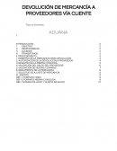 DEVOLUCIÓN DE MERCANCÍA A PROVEEDORES - CLIENTE