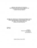 Proyecto Sobre el Limoncillo