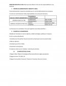 DIRECTOR EXECUTIU O CEO (Chief executive officer): El lloc de mès responsabilitat en una empresa