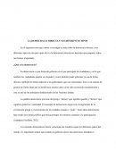 LA DEMOCRACIA DIRECTA Y SUS DIFERENTES TIPOS