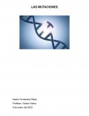 LAS MUTACIONES